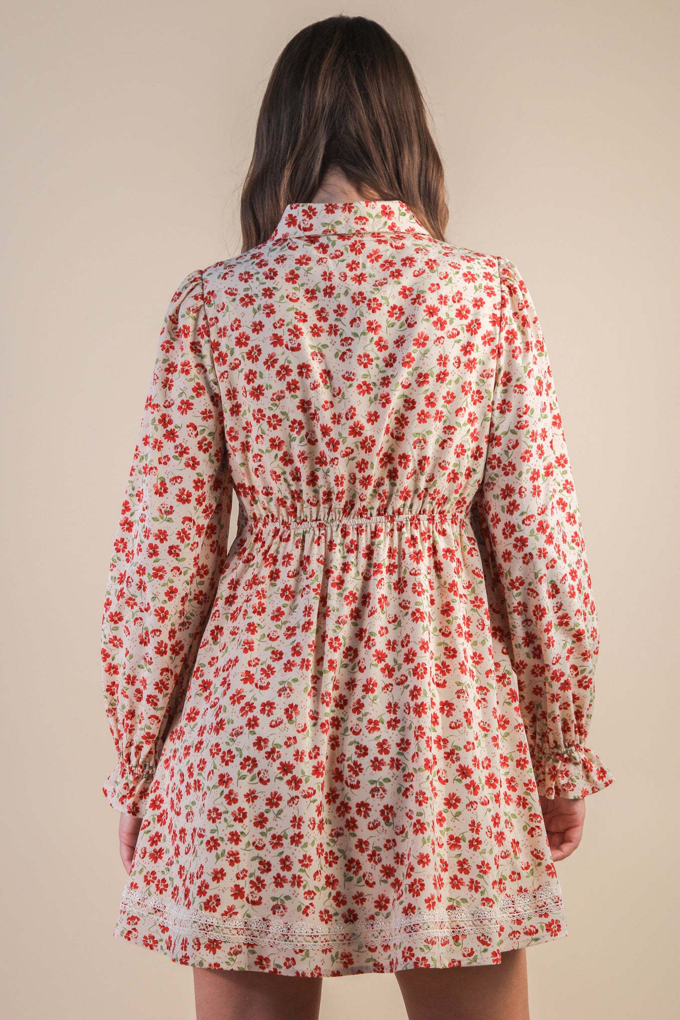Floral Printed Lace Trim Collared Mini Dress