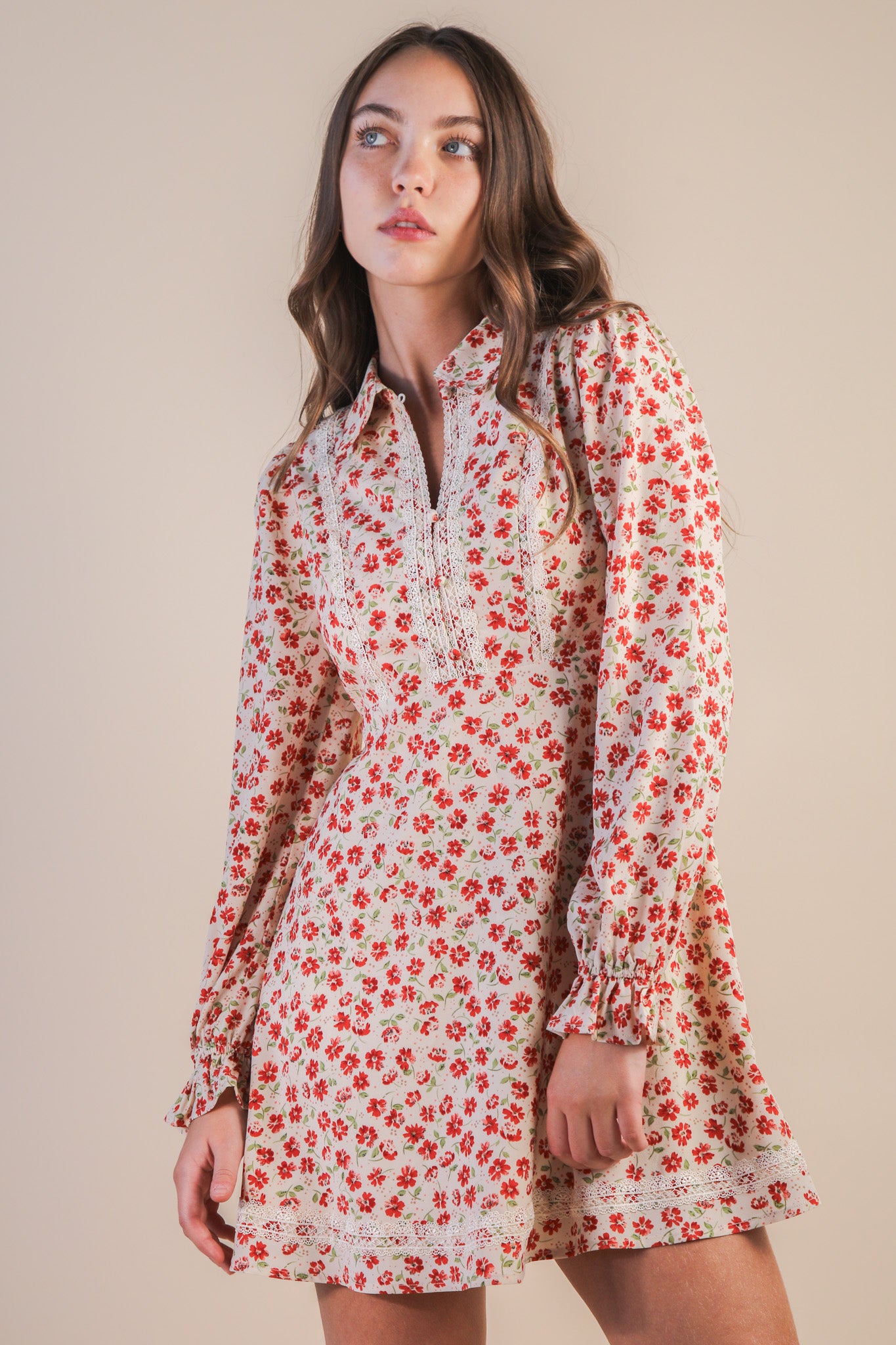 Floral Printed Lace Trim Collared Mini Dress