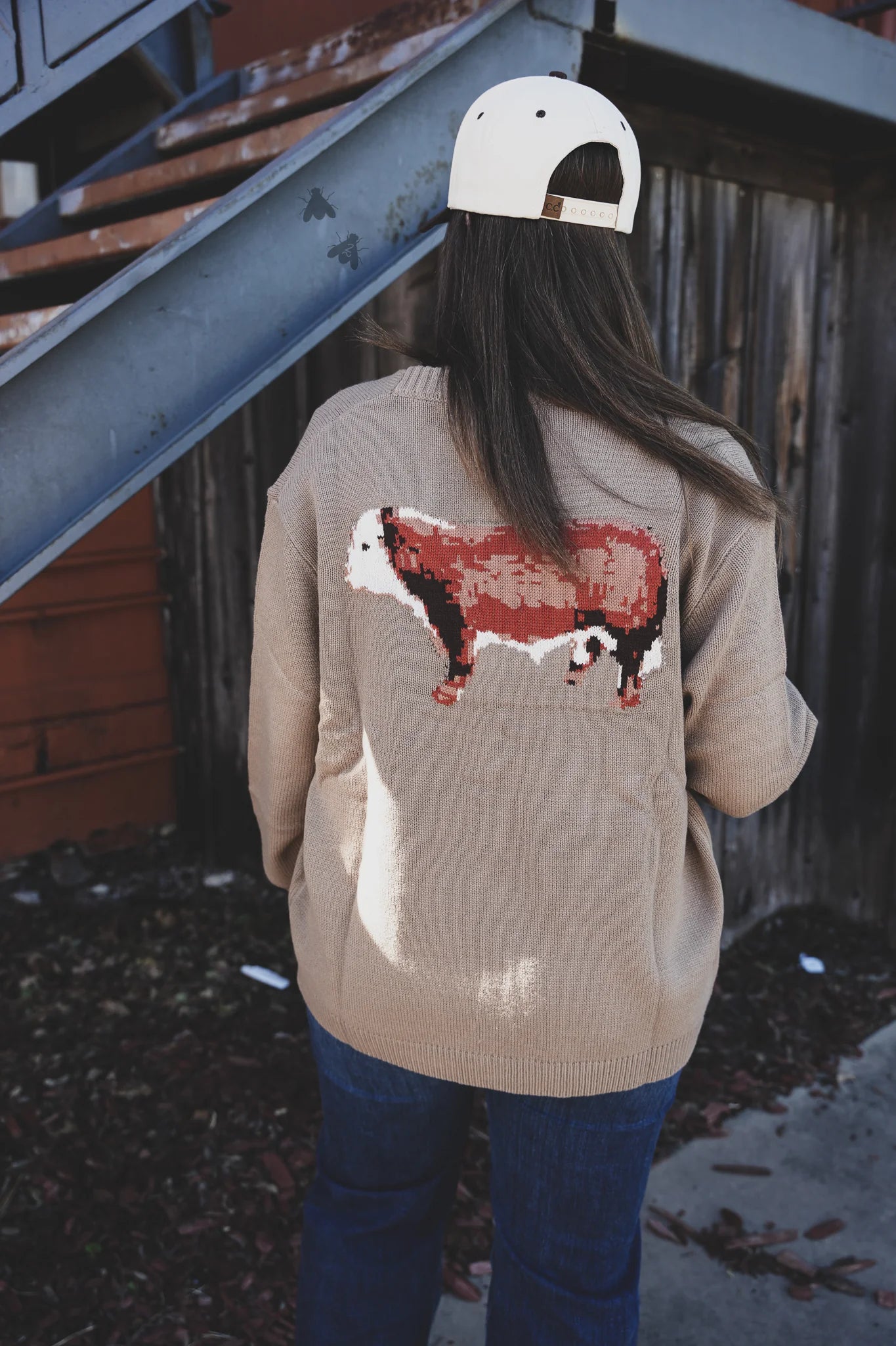 CATTLE BABE HERFY